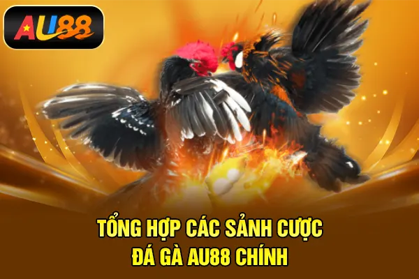Tổng hợp các sảnh cược đá gà AU88 chính
