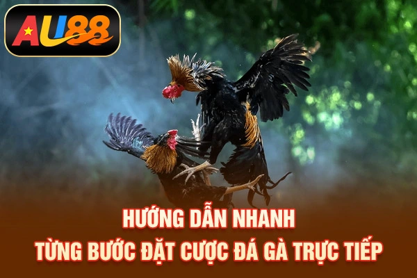 Trực Tiếp Đá Gà C1 Là Gì? Cách Chơi, Đặt Cược Đúng Hướng dẫn nhanh từng bước đặt cược đá gà trực tiếp