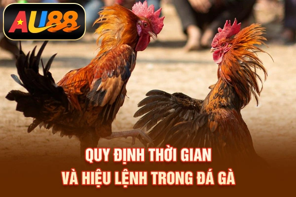 Đá Gà Cựa Dao –Siêu Phẩm Giải Trí Nổi Danh 2026 Quy định thời gian và hiệu lệnh trong đá gà